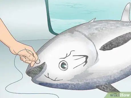 Image intitulée Catch Bluefin Tuna Step 17