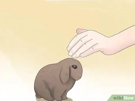 Image intitulée Care for Mini Lop Rabbits Step 10