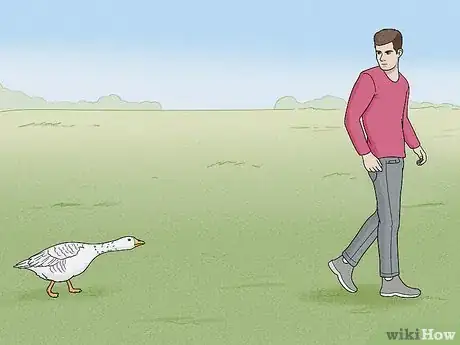 Image intitulée Stop a Goose Attack Step 2