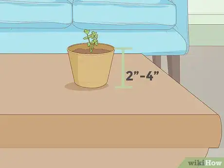 Image intitulée Grow Plants Faster Step 12