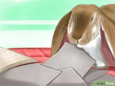 Image intitulée Raise a Lop Eared Rabbit As a Pet Step 13