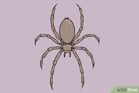 Image intitulée Draw a Spider Step 18