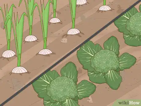 Image intitulée Grow Plants Faster Step 10