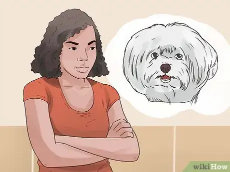 Image intitulée Care for a Maltese Dog Step 3