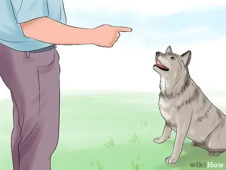 Image intitulée Teach Your Dog to Play Dead on Command Step 7