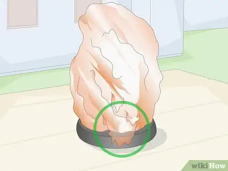 Image intitulée Stop a Salt Crystal Lamp from Melting Step 9