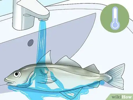 Image intitulée Clean_Gut a Fish Step 2