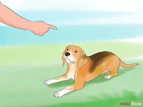 Image intitulée Teach Your Dog to Play Dead on Command Step 14