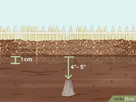 Image intitulée Grow Ginseng Step 10