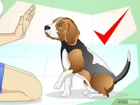Image intitulée Keep Your Dog Calm Outside His Crate Step 1