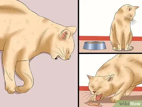 Image intitulée Tell if a Cat Has Rabies Step 1