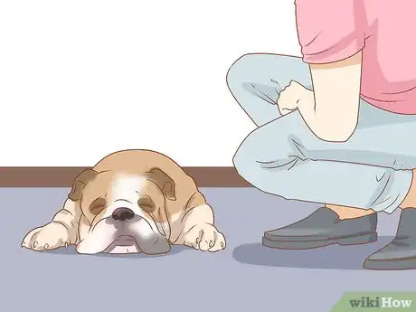 Image intitulée Tell if Your Dog Is Depressed Step 4