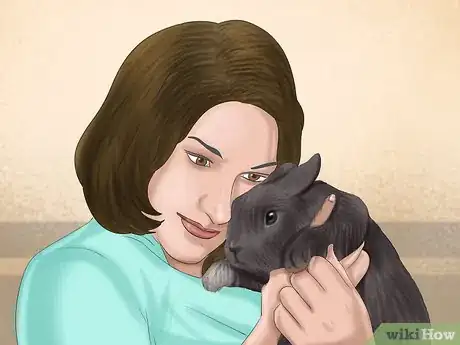 Image intitulée Raise a Lop Eared Rabbit As a Pet Step 17