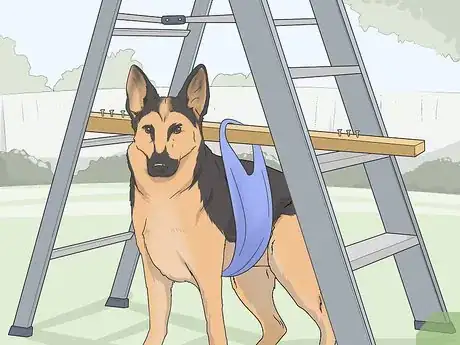 Image intitulée Express a Paralyzed Dog's Bladder Step 16