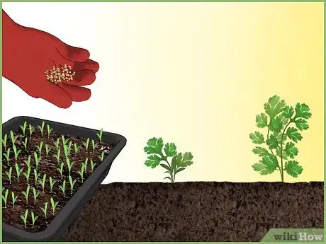 Image intitulée Plant a Seed Intro