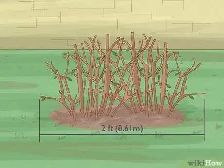 Image intitulée Prune Azaleas Step 7