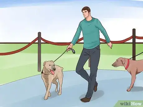 Image intitulée Train Your Dog for a Dog Show Step 4