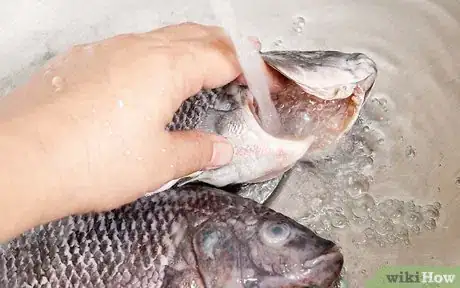 Image intitulée Cook Steamed Fish Step 1