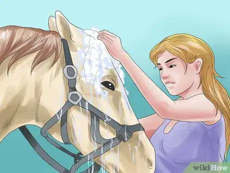 Image intitulée Prepare for a Horse Show Step 5