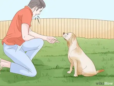 Image intitulée Make Your Dog Stay in Your Yard Without a Leash Step 19