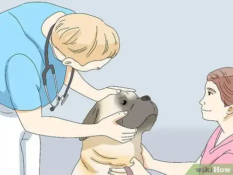Image intitulée Treat Folliculitis in Dogs Step 9