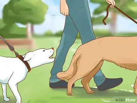 Image intitulée Stop Aggressive Behavior in Dogs Step 11