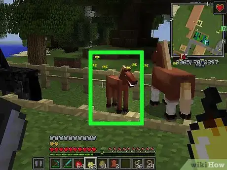 Image intitulée Breed Horses in Minecraft Step 16