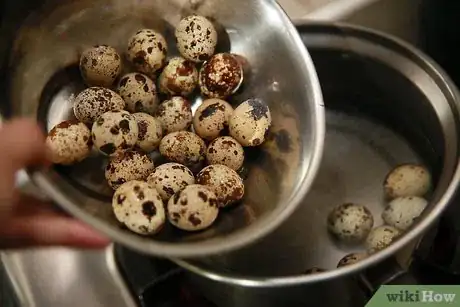 Image intitulée Eat Quail Eggs Step 8