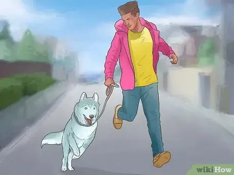 Image intitulée Take Care of an Alaskan Husky Step 1