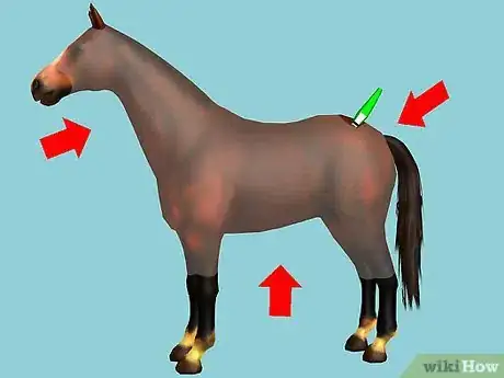 Image intitulée Clip Your Horse Step 6