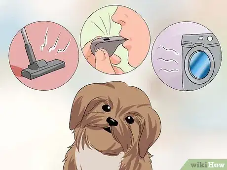 Image intitulée Train Your Shih Tzu Step 6