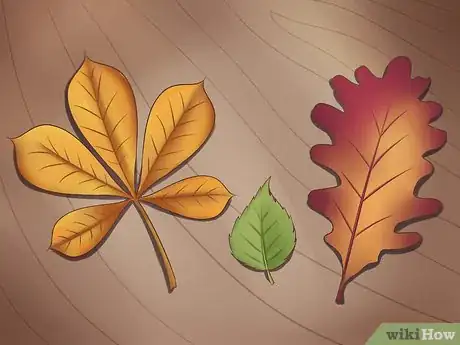 Image intitulée Preserve Fall Leaves Step 8