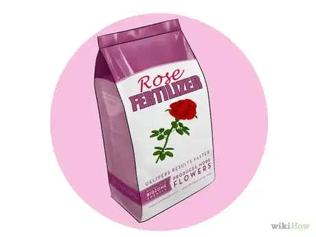 Image intitulée Fertilize Roses Step 2.png