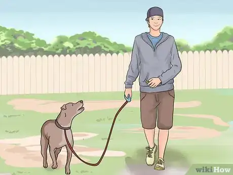 Image intitulée Train a Dog to Come Step 8