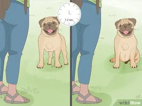 Image intitulée Make Your Dog Stay in Your Yard Without a Leash Step 17