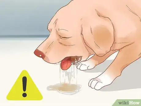 Image intitulée Know When Your Dog is Sick Step 15