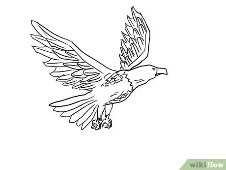 Image intitulée Draw an Eagle Step 40