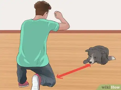 Image intitulée Teach a Dog to Crawl Step 11