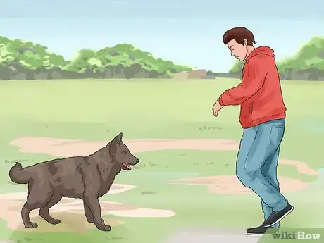 Image intitulée Train a Dog to Come Step 3