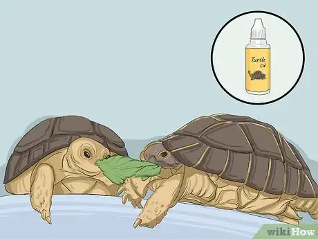 Image intitulée Breed Turtles Step 4