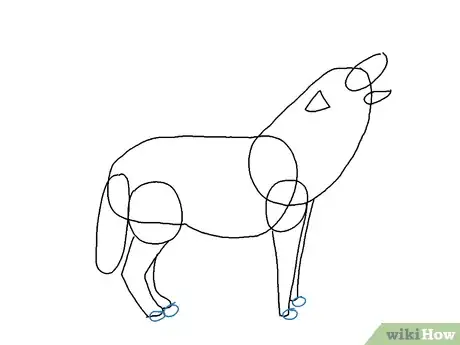 Image intitulée Draw a Wolf Step 14