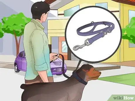 Image intitulée Train Your Dog for a Dog Show Step 3