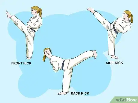 Image intitulée Understand Basic Karate Step 10