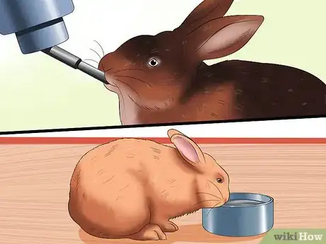 Image intitulée Treat Heat Stroke in Rabbits Step 18