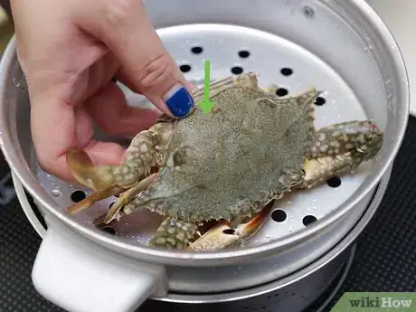 Image intitulée Cook a Crab Step 6