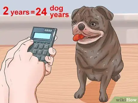 Image intitulée Calculate Dog Years Step 11