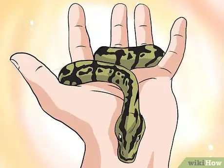 Image intitulée Choose Your First Pet Snake Step 2Bullet3