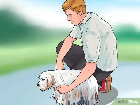 Image intitulée Gain a Dog's Trust Step 3