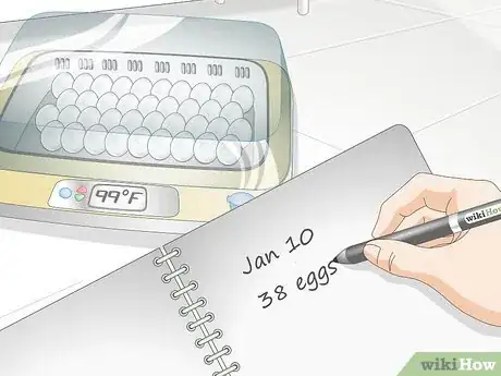 Image intitulée Use an Incubator to Hatch Eggs Step 14
