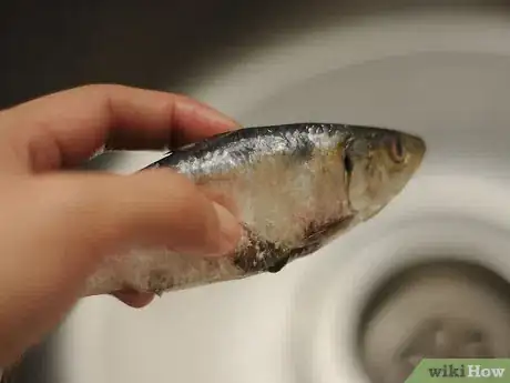 Image intitulée Cook Sardines Step 1Bullet2